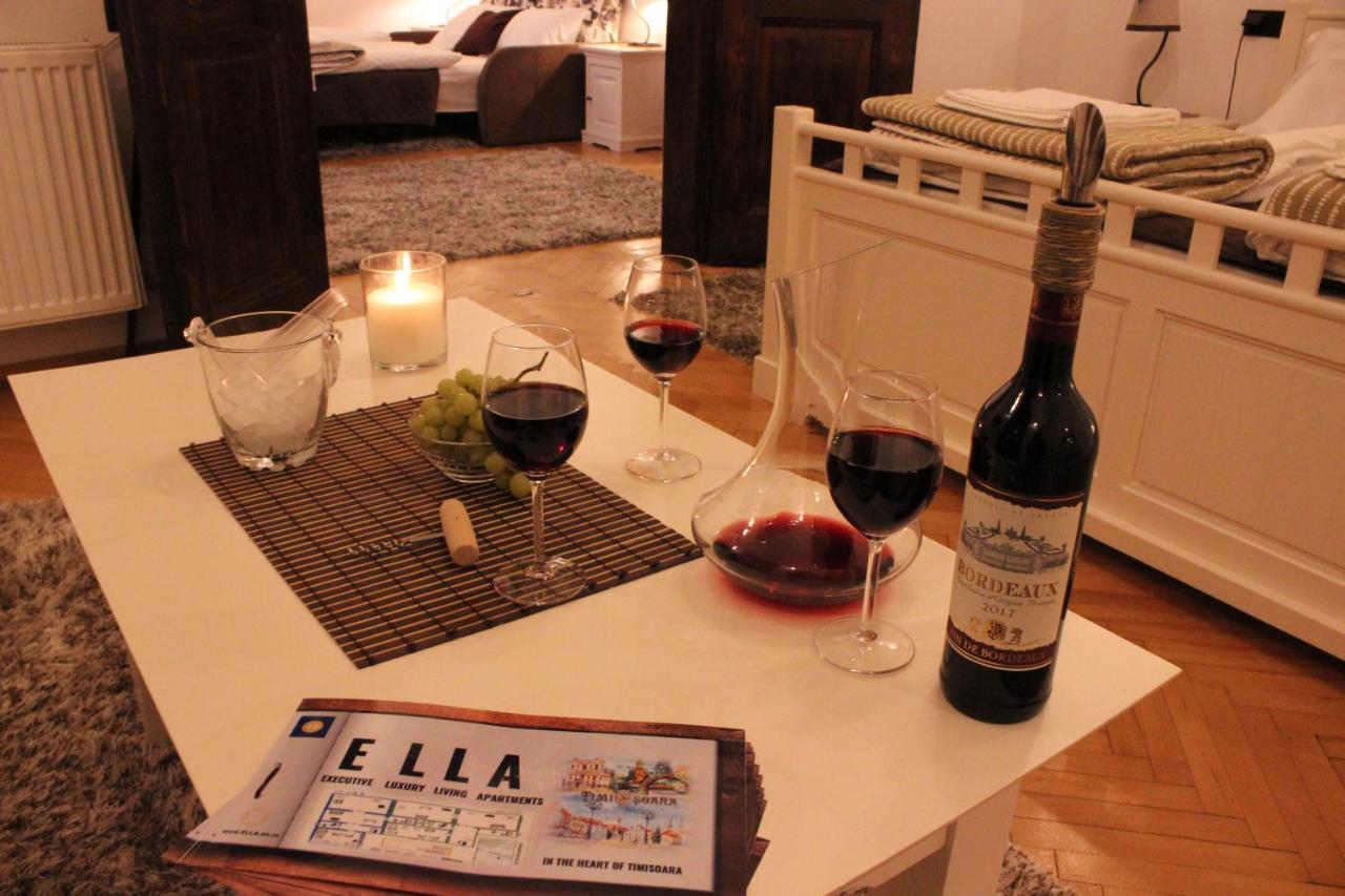 Ella Apartment Timisoara No9 Esterno foto