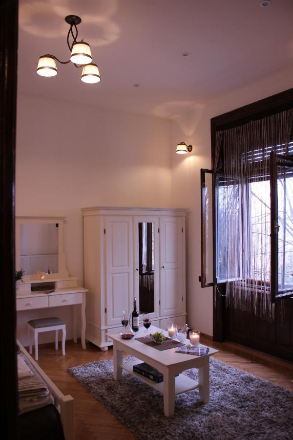 Ella Apartment Timisoara No9 Esterno foto